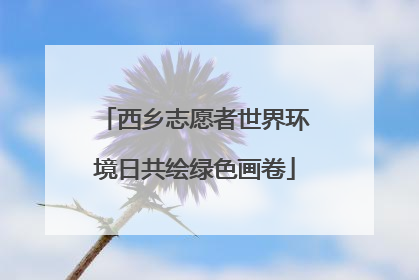 西乡志愿者世界环境日共绘绿色画卷